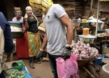 Le Coronavirus tel que vu sur la toile .