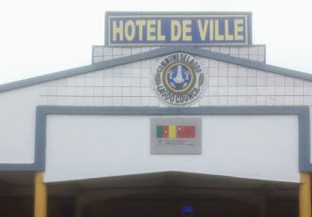 Promotion du développement local