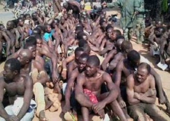 Legal Minds Rubbish President Biya’s Prison Term Reduction