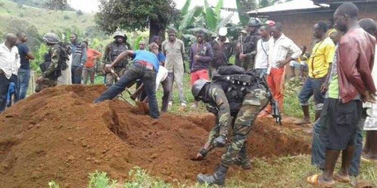 Report of Ngarbuh Commission of Inquiry: Activists, Rights Lawyers, Diplomats, Indigenes React
