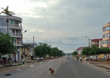 COVID-19: Why Govt is yet to take certain stringent measures expected by Cameroonians