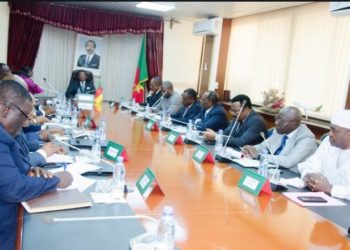COVID-19: Another Challenging Day for Cameroon’s PM