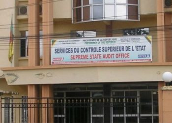 Cameroon: ANIF to Investigate Kamto’s Suivie-Cameroon-Survival-Initiative