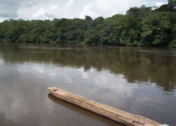 Drame dans la Benoué : une dizaine de personnes trouvent la mort par noyade dans le fleuve Benoué.