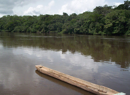 Drame dans la Benoué : une dizaine de personnes trouvent la mort par noyade dans le fleuve Benoué.