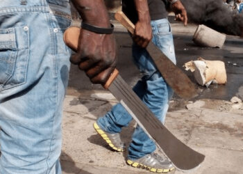 Il Tue Sa Mère Pour Une Affaire D’héritage.