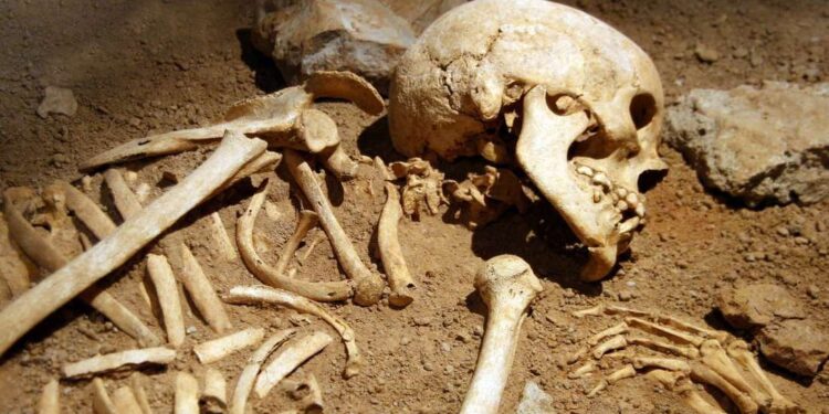 Two Human Bones Traffickers in Court