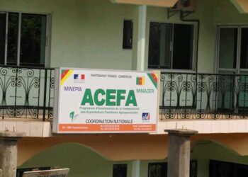 PCP-ACEFA Boost Production Capacity of 56 Farmers Groups in West Region