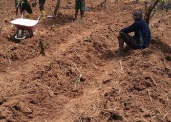 Discovery: Ngoke II, Agricultural Stronghold in Mbangassina Sub Division