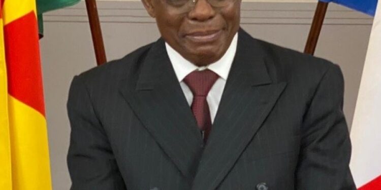 Regional Council Elections: Atanga Nji Challenges Kamto’s Challenge