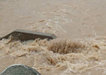 Maroua: Une Buse Emportée Par Les Eaux