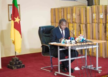 Regional Council Elections: Atanga Nji Challenges Kamto’s Challenge