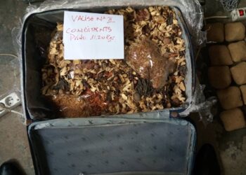 Traffickers Arrested With Hard Drugs Worth 700 Million FCFA in Douala