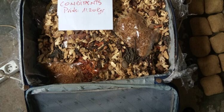 Traffickers Arrested With Hard Drugs Worth 700 Million FCFA in Douala