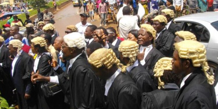 Lawyers of the Cameroon Bar Association