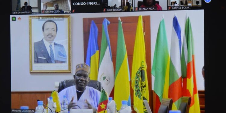 President of the Council of Ministers of the Economic Union of Central Africa, Minister Alamine Ousmane Mey