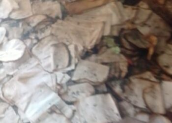 Destroyed examination scripts of the University of Dschang