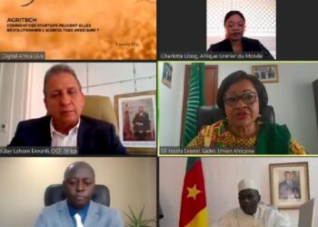 Officials at the Africa Agri Forum that held through video conference