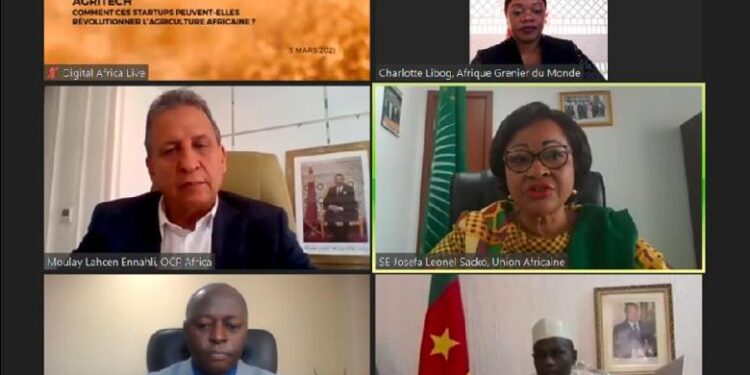 Officials at the Africa Agri Forum that held through video conference