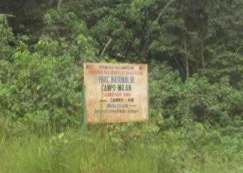 Projet Camvert dans le bassin du Congo