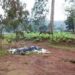 Dead body inside a farm in Cameroon (Archives)