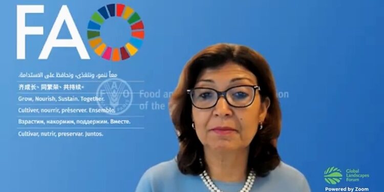 Deputy Director General of FAO, Maria Helena SEMEDO, (Archives)