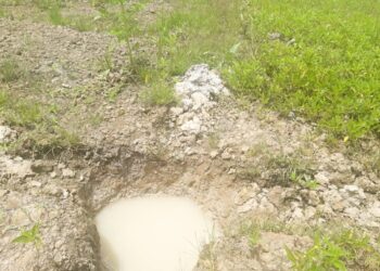 Global Warming is Hampering Agricultural Activities: Can Sustainable Diets be the Solution?