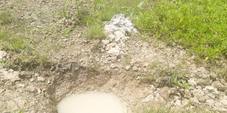 Global Warming is Hampering Agricultural Activities: Can Sustainable Diets be the Solution?