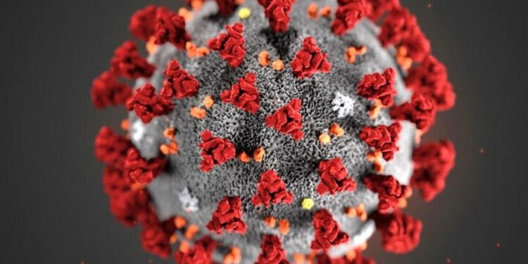 “Long Covid”: Life After Recovery