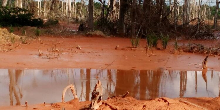 Le cours d' eau "Mbil" pollué par la boue rouge mélangé au mercure