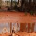 Le cours d' eau "Mbil" pollué par la boue rouge mélangé au mercure