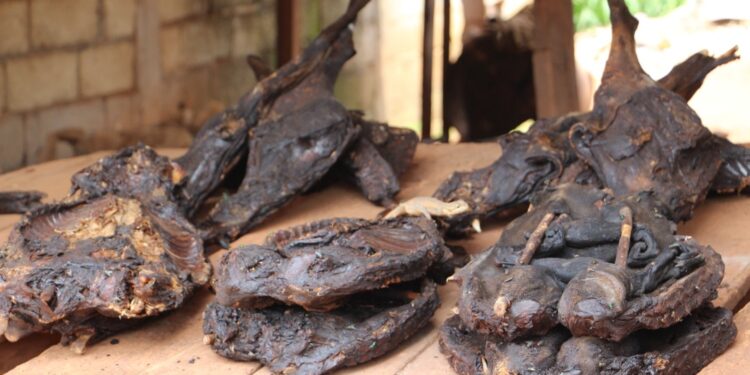 The bushmeat trade used to thrive in Cameroon before the advent of COVID-19 (Picture by Solomon Tembang)