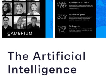 Developing the Biotech Industry – Can AI bring the Solutions?