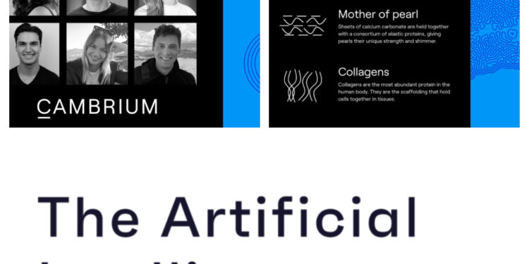 Developing the Biotech Industry – Can AI bring the Solutions?