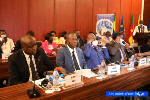 Telecoms experts at the assembly in Yaounde (credit: Camtel)