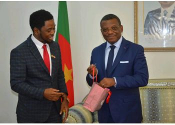 Prof. Victor Mbarika in an audience in Yaounde