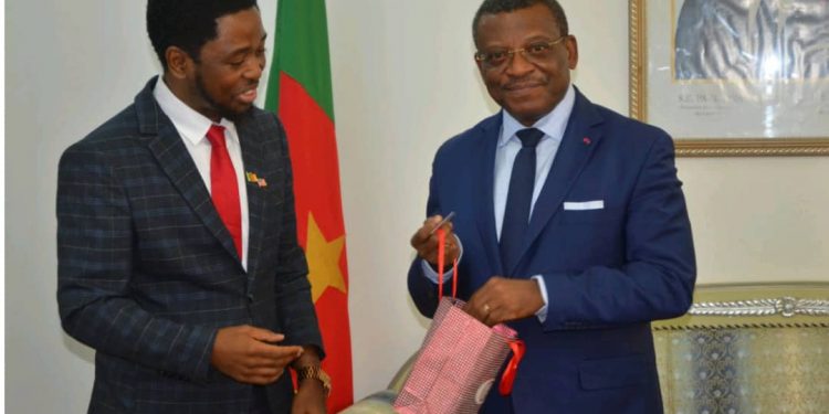 Prof. Victor Mbarika in an audience in Yaounde