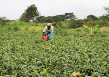 The River of Plastics Affecting Women Downstream