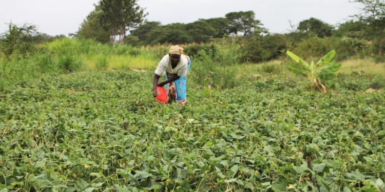 The River of Plastics Affecting Women Downstream
