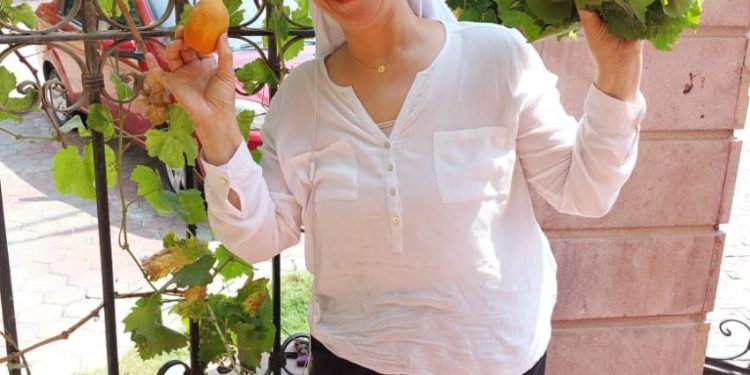 Rooftop and balcony gardens of Cairo