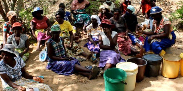 Zimbabwean Women Harvesting Water to Beat Drought