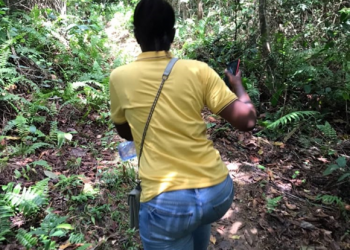 Ghana: increasing stimulus package to protect women in tourism