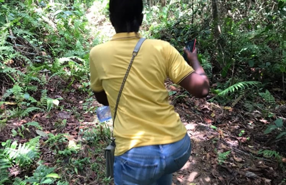 Ghana: increasing stimulus package to protect women in tourism