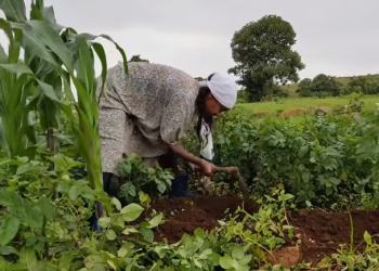 Women’s participation driving restoration of Ethiopian highlands