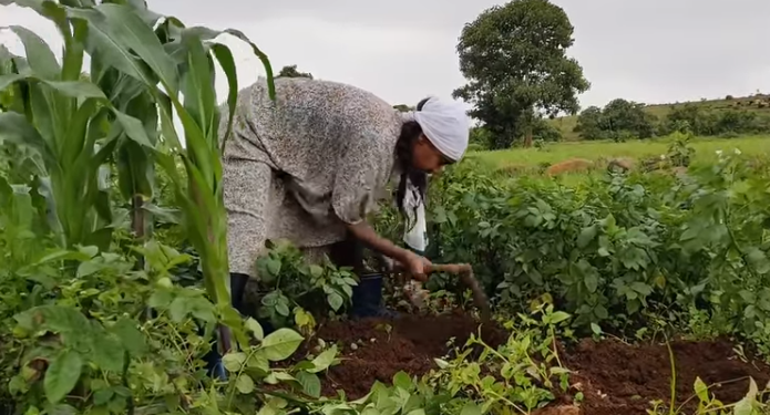 Women’s participation driving restoration of Ethiopian highlands