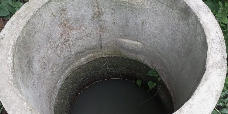 Some women in Ogun State dig out holes for water storage to irrigate their farms. Photo/Adetutu Sebolowe/ AWiM