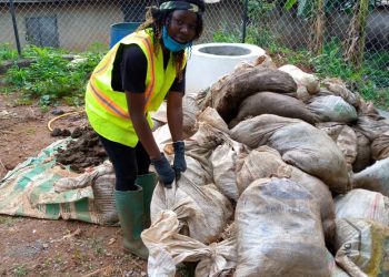 Waste collected from kitchen, landfills, fowl and pig droppings. Photo/Buba Laura Chifon/AWiM