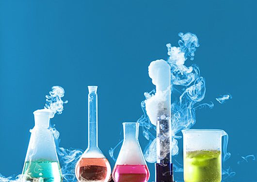 Campaign Against Toxic Chemicals: JVE Cameroun Mobilizes, Encourages Civil Society Organizations to Join Fight