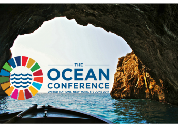 JVE Cameroun Spearheads Road Map to Scale Up Ocean Action