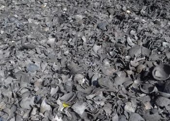 Coconut waste turned to fuel. Photo/Abena Ampofo/AWiM